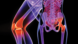 Πόσο απαραίτητη είναι η φυσικοθεραπεία μετά από ολική αρθροπλαστική γόνατος ή ισχίου?
